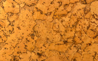 Mantar tahta yüzeyinin Arkaplanı ve Dokusunu Kapat