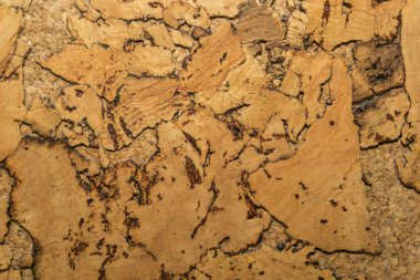 Mantar tahta yüzeyinin Arkaplanı ve Dokusunu Kapat