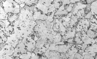 Mantar tahta yüzeyinin Arkaplanı ve Dokusunu Kapat. Siyah beyaz fotoğraf