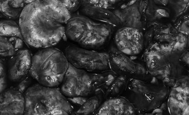 Su arka planında siyah mantar şapkaları, siyah beyaz fotoğraf.