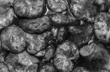 Su arka planında siyah mantar şapkaları, siyah beyaz fotoğraf.