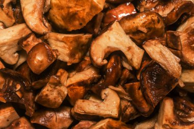 Islak, dilimlenmiş kahverengi mantar arka plan dokusu. Küçük mantar parçaları, yakın plan.