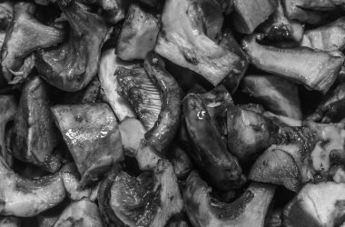 Islak çiğ mantar arkaplan dokusu. Küçük mantar parçaları, yakın plan, siyah beyaz fotoğraf.