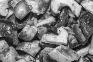 Islak çiğ mantar arkaplan dokusu. Küçük mantar parçaları, yakın plan, siyah beyaz fotoğraf.