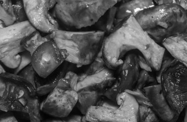 Islak çiğ mantar arkaplan dokusu. Küçük mantar parçaları, yakın plan, siyah beyaz fotoğraf.