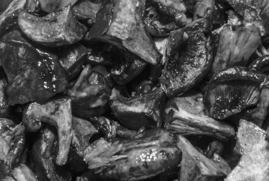 Islak çiğ mantar arkaplan dokusu. Küçük mantar parçaları, yakın plan, siyah beyaz fotoğraf.