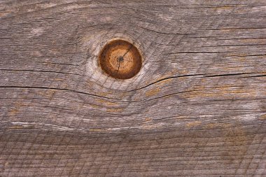 Kahverengi tahta arkaplan dokusu