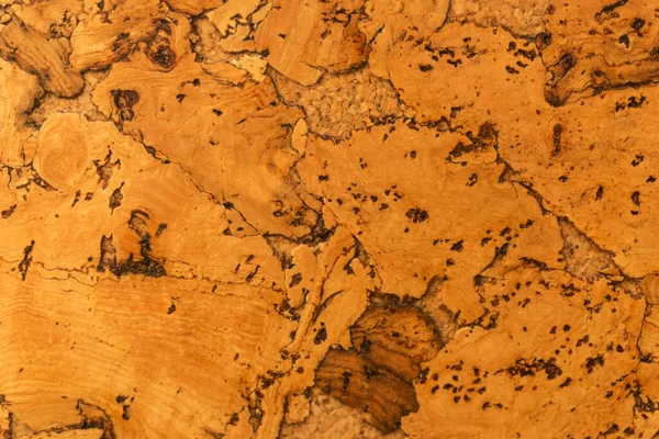 Mantar tahta yüzeyinin Arkaplanı ve Dokusunu Kapat