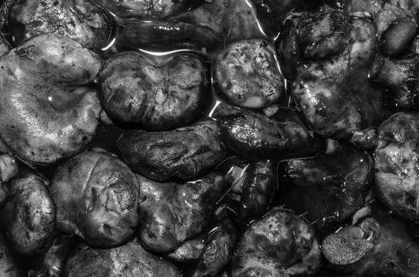 Su arka planında siyah mantar şapkaları, siyah beyaz fotoğraf.