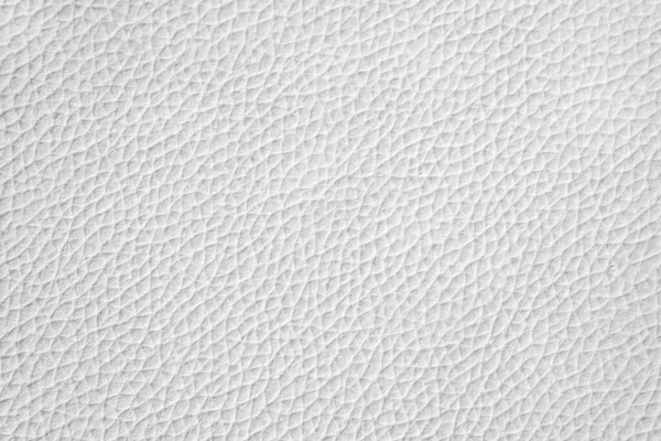 Fondo Cuero Natural Blanco Textura Cuero Gris Textura Fondo Blanco — Foto de Stock