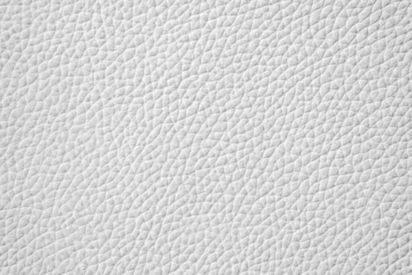 Beyaz doğal deri kaplama arka plan, gri deri doku, desenli beyaz arkaplan dokusu, beyaz ten.