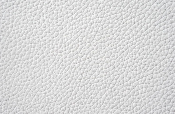 Beyaz doğal deri kaplama arka plan, gri deri doku, desenli beyaz arkaplan dokusu, beyaz ten.