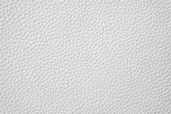 Witte Natuurlijke Lederen Close Achtergrond Grijze Lederen Textuur Witte Achtergrond — Stockfoto