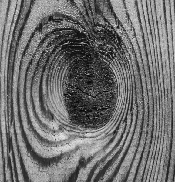 Düğüm arkaplan desenli gri ahşap tahtalar