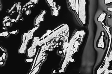 Beyaz arka plana siyah boya damlatıyor. Akan yakıt damlaları, damlalar ve izler