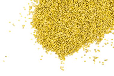 Sarı darı inlemeleri beyaz arkaplanda izole