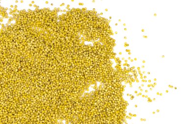 Sarı darı inlemeleri beyaz arkaplanda izole