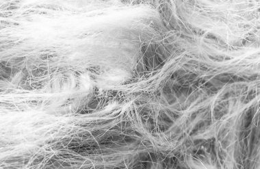 Siyah beyaz yün kumaş arka plan, pamuk yün, gri yün, gri doğal koyun yünü, koyu tüylü kürk dokusu, siyah beyaz uzun yün ceket, koyu halı, ten