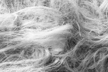 Siyah beyaz yün kumaş arka plan, pamuk yün, gri yün, gri doğal koyun yünü, koyu tüylü kürk dokusu, siyah beyaz uzun yün ceket, koyu halı, ten