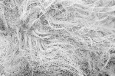 Siyah beyaz yün kumaş arka plan, pamuk yün, gri yün, gri doğal koyun yünü, koyu tüylü kürk dokusu, siyah beyaz uzun yün ceket, koyu halı, ten