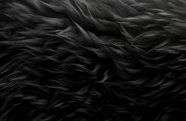 Siyah yün doku arka plan, koyu doğal koyun yünü, gri tüylü kürk dokusu, uzun gri yün halı yakın plan.