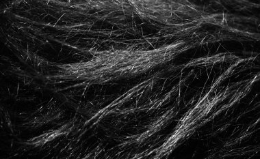 Siyah yün doku arka plan, koyu doğal koyun yünü, gri tüylü kürk dokusu, uzun gri yün halı yakın plan.