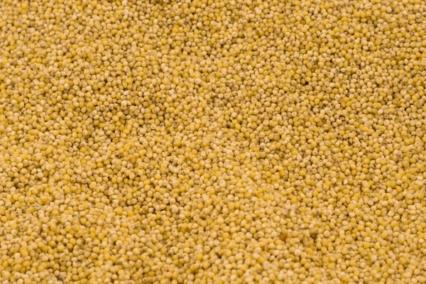 Yellow Millet Groats Texture Background — Stock Photo, Image