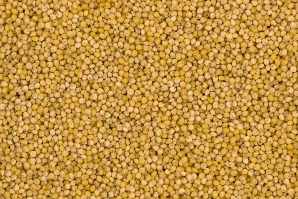 Yellow Millet Groats Texture Background — Stock Photo, Image