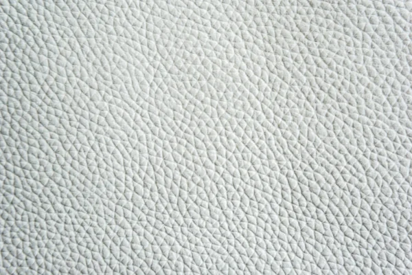 Fondo Cuero Natural Blanco Textura Cuero Gris Textura Fondo Blanco — Foto de Stock