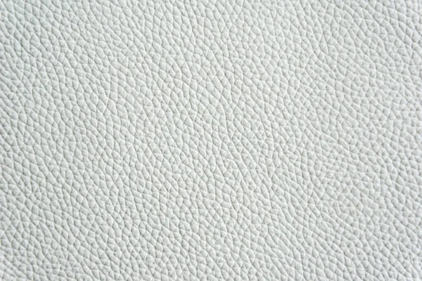 White Natural Leather Close Background Gray Leather Texture White Background — Stock Photo, Image