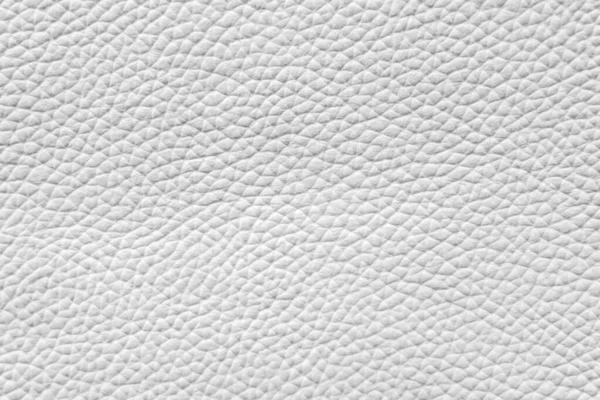 Fondo Cuero Natural Blanco Textura Cuero Gris Textura Fondo Blanco — Foto de Stock