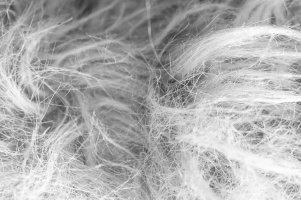 Black white wool texture background, cotton wool, grey fleece, gray natural sheep wool, texture of dark fluffy fur, black white nappy long wool coat, dark carpet,  skin