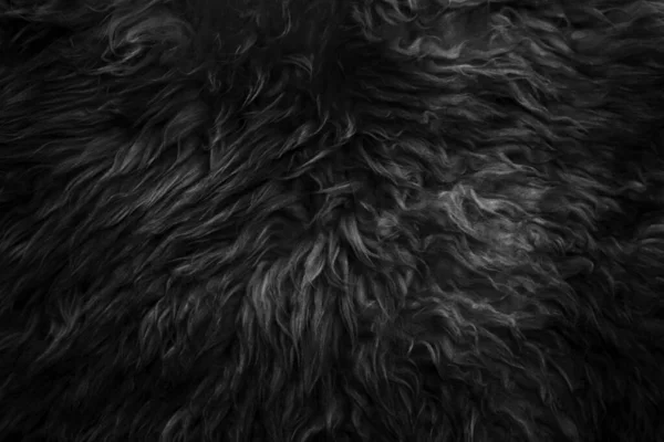 Czarna Wełna Tekstura Tła Ciemna Naturalna Wełna Owcza Czarna Bawełna — Zdjęcie stockowe