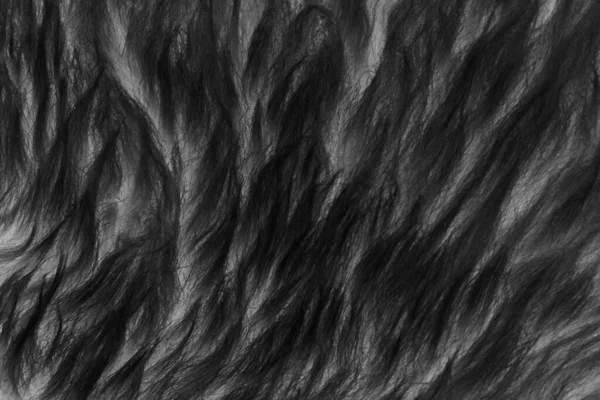 Fond Texturé Laine Noire Laine Mouton Naturelle Foncée Texture Fourrure — Photo