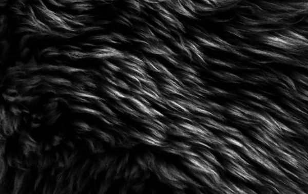 솜털의 카펫의 — 스톡 사진