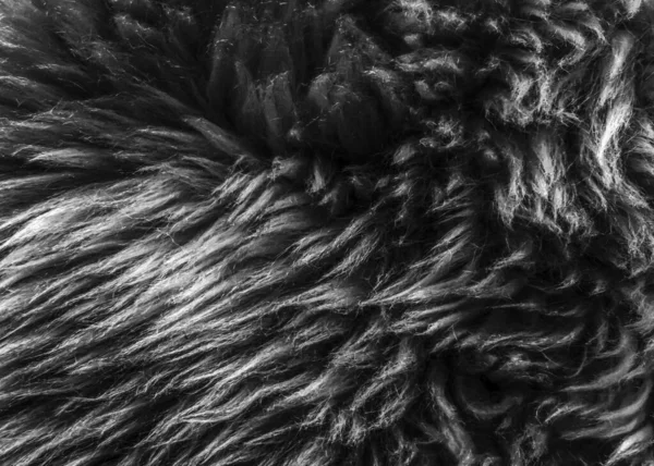 Fundo Textura Preta Ovelha Natural Escura Textura Pele Macia Cinza — Fotografia de Stock
