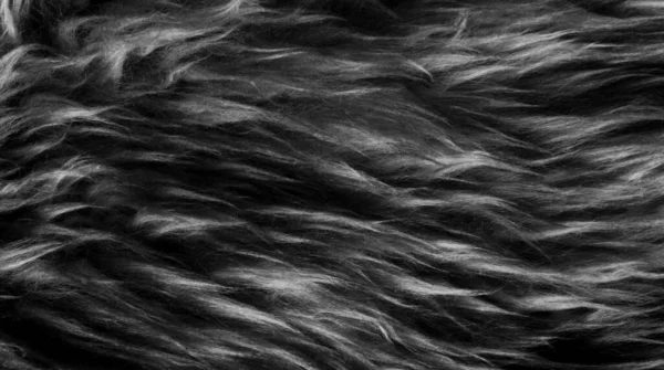 黑色羊毛质地背景 深色天然羊毛 灰色绒毛质地 细长灰色羊毛地毯特写 — 图库照片