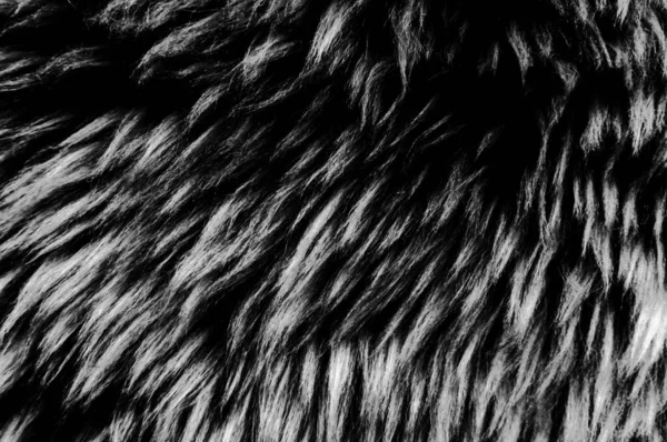 Fekete Gyapjú Textúra Háttér Sötét Természetes Juhok Gyapjú Textúra Szürke — Stock Fotó