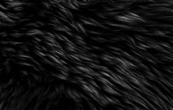 Fundo Textura Preta Ovelha Natural Escura Textura Pele Macia Cinza — Fotografia de Stock
