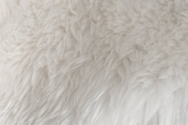 Beyaz kabarık yün dokusu, doğal yün arka plan, tasarımcılar için kürk dokusu, açık uzun kürk hayvanı.