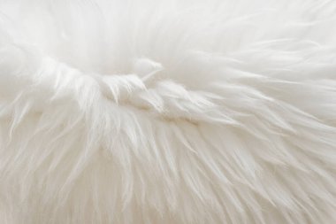 Beyaz kabarık yün dokusu, doğal yün arka plan, tasarımcılar için kürk dokusu, açık uzun kürk hayvanı.