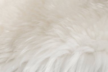 Beyaz kabarık yün dokusu, doğal yün arka plan, tasarımcılar için kürk dokusu, açık uzun kürk hayvanı.