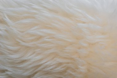 Beyaz yumuşak yün dokusu, pamuk, hafif doğal koyun yünü, beyaz kabarık kürk dokusu, bej renkli yün, şeftali renkli kürk