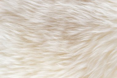 Beyaz yumuşak yün dokusu, pamuk, hafif doğal koyun yünü, beyaz kabarık kürk dokusu, bej renkli yün, şeftali renkli kürk