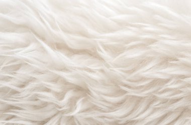 Beyaz yumuşak yün dokusu, pamuk, hafif doğal koyun yünü, beyaz kabarık kürk dokusu, bej renkli yün, şeftali renkli kürk