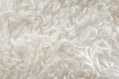 Beyaz yumuşak yün dokusu, dikişsiz pamuk, hafif doğal koyun yünü, beyaz kabarık kürkün yakın çekim dokusu, tasarımcı için bej renkli tonda yün.