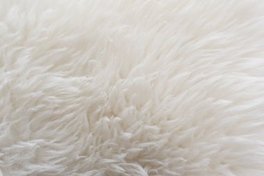 Beyaz yumuşak yün dokusu, dikişsiz pamuk, hafif doğal koyun yünü, beyaz kabarık kürkün yakın çekim dokusu, tasarımcı için bej renkli tonda yün.