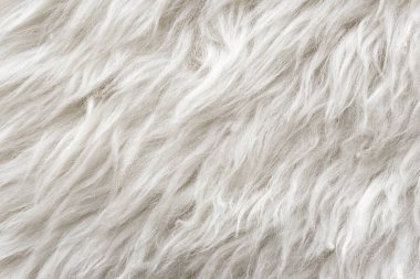 Beyaz yumuşak yün dokusu, dikişsiz pamuk, hafif doğal koyun yünü, beyaz kabarık kürkün yakın çekim dokusu, tasarımcı için bej renkli tonda yün.