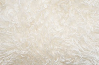 Beyaz yumuşak yün dokusu, dikişsiz pamuk, hafif doğal koyun yünü, beyaz kabarık kürkün yakın çekim dokusu, tasarımcı için bej renkli tonda yün.