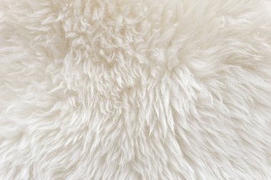Beyaz yün doku arka plan, pamuk, beyaz doğal koyun yünü, bej kabarık kürk, parça beyaz halı, örgü desenli ince yün, bükülmüş kumaş fabrika kumaşı.